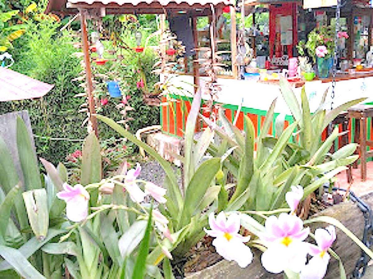 Hostal Estrella De Agua Salento Exterior photo
